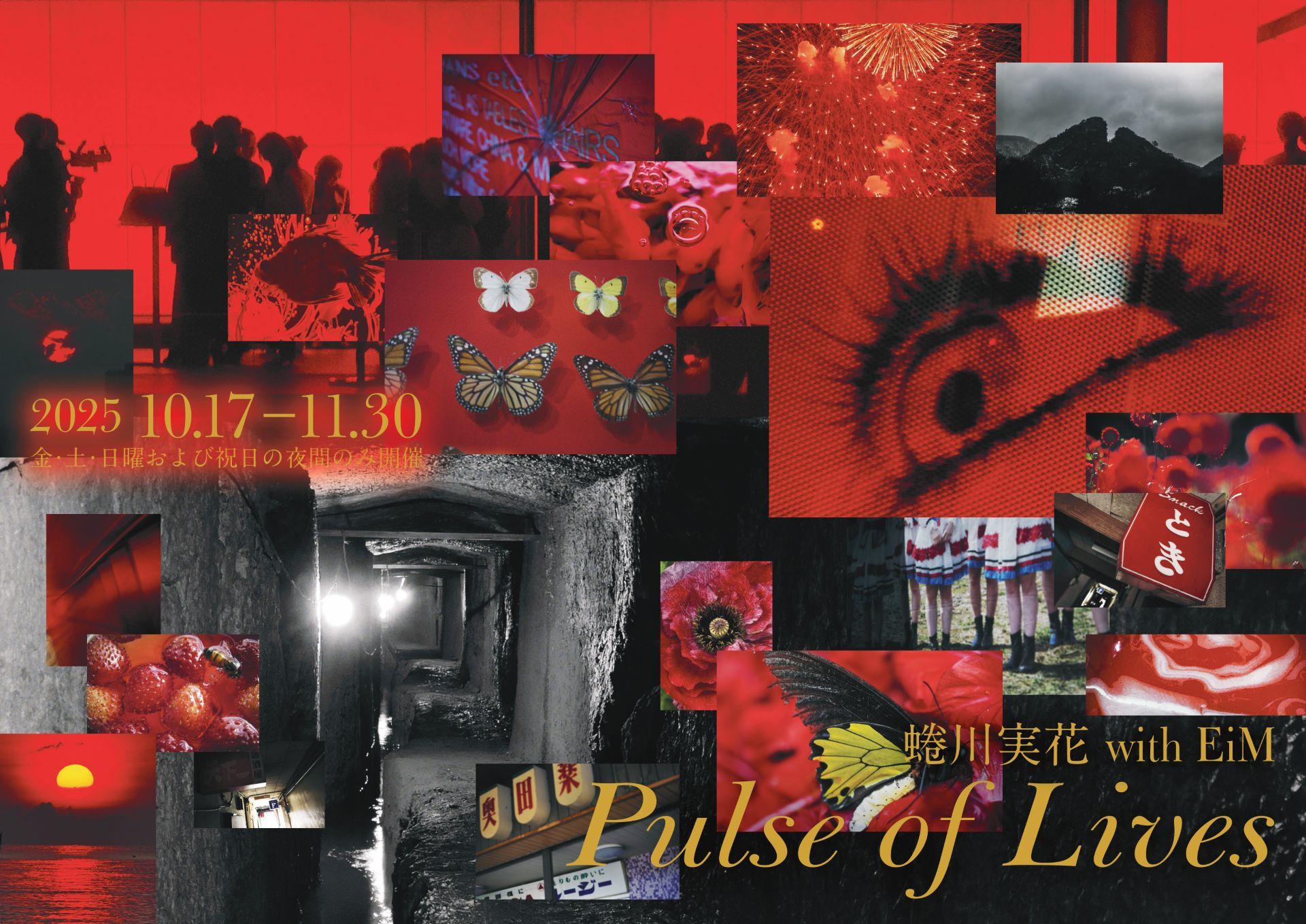 蜷川実花 with EiM『Pulse of Lives』開催！世界遺産「佐渡島の金山」を舞台にした特別なアート体験　メディアお披露目会に参加してきました