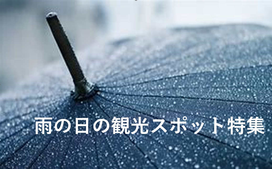 雨の日の観光、みんなどうしてるの⁉ 雨でも楽しめる観光特集