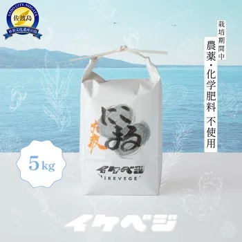 ≪イケベジのにこまる！≫「米・食味分析鑑定コンクール国際大会」国際総合部門金賞受賞！！【佐渡市ふるさと納税】
