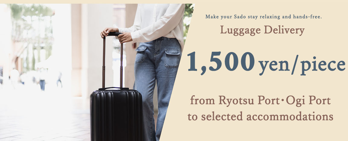 Luggage Delivery Service