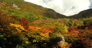 紅葉山まつり