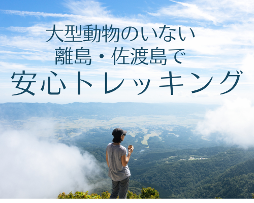 佐渡の山にはクマやイノシシなどの大型動物がいません　安心トレッキング♪