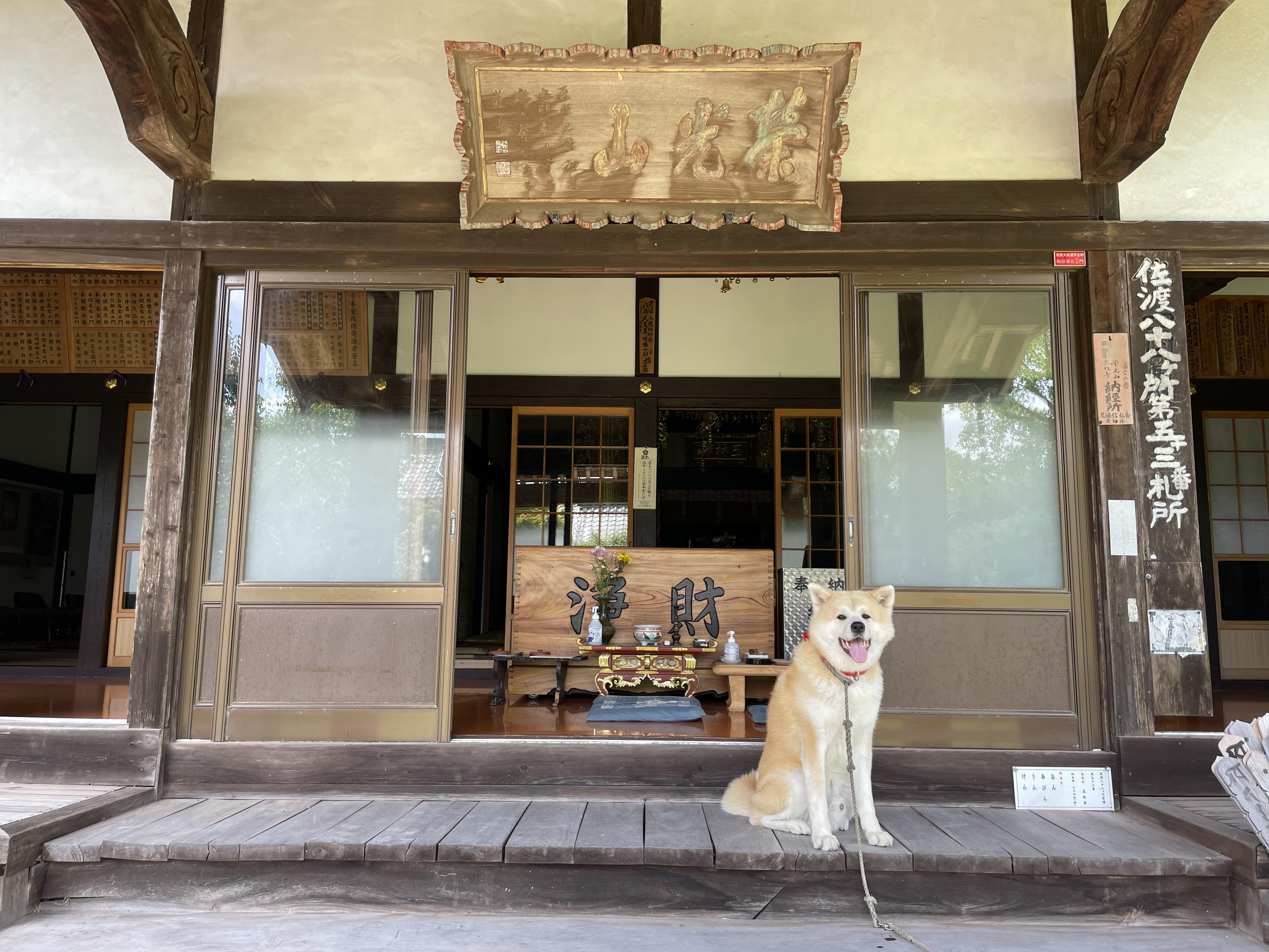 Temple Stay　玉林寺