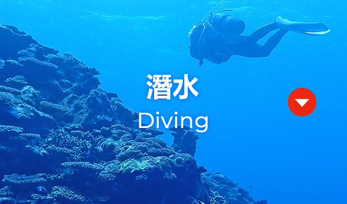 ダイビング