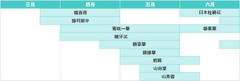佐渡の花カレンダー 3月～6月